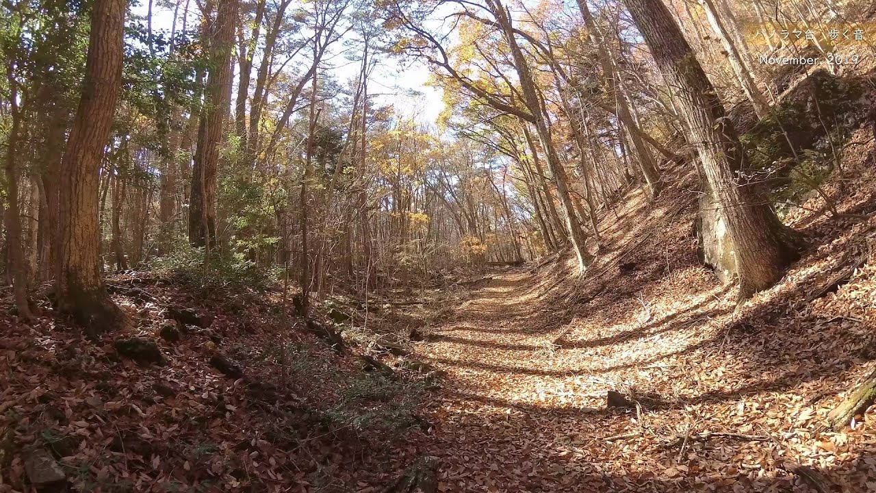 【4K】パノラマ台（精進湖）　本栖湖側からのハイキング　Fallen leaves.【歩く音】