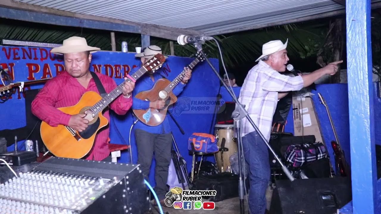 LLEGAN LAS VACAS AL CORRAL