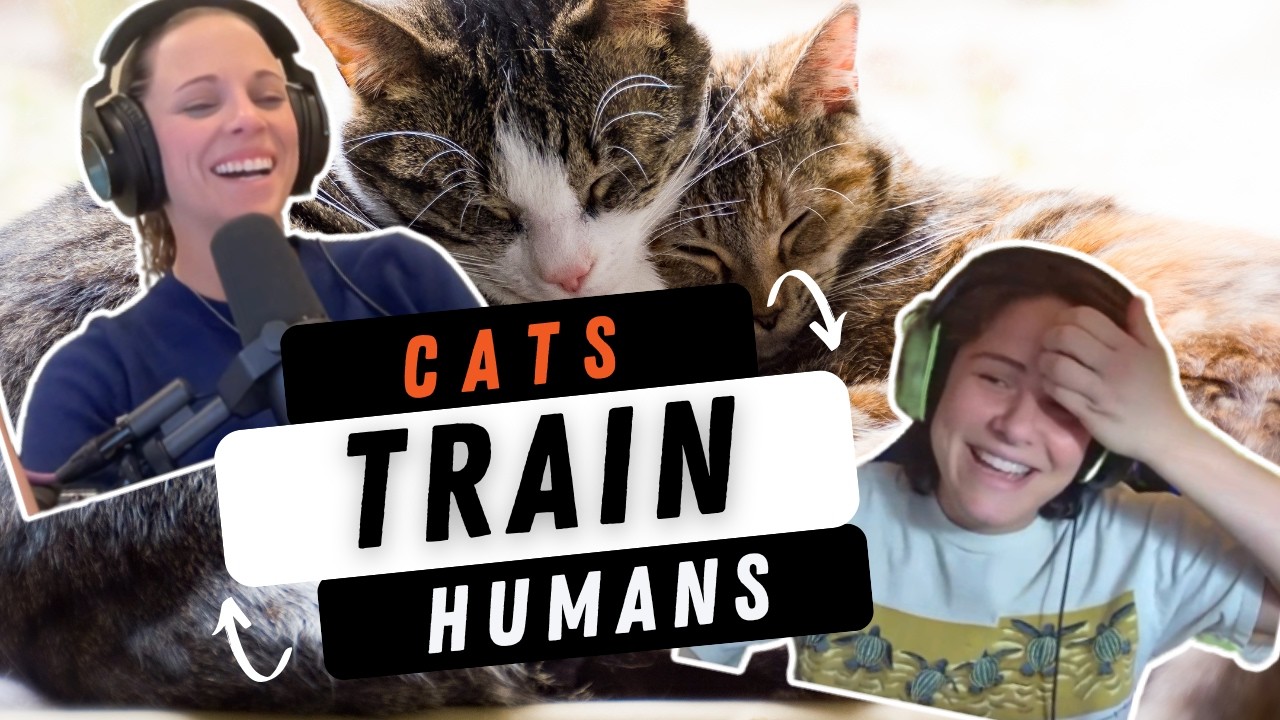 Can Cats Talk? The Science Behind Meows, Purrs, and Human Manipulation