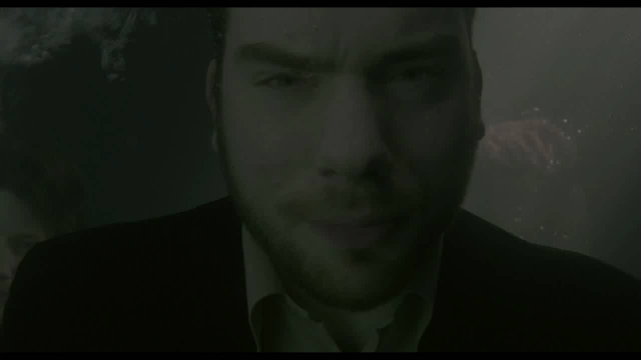 DE STAAT - Wait for evolution