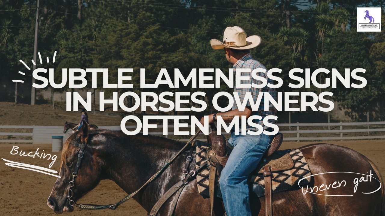 Subtle Lameness Signs in Horses Owners Often Miss
