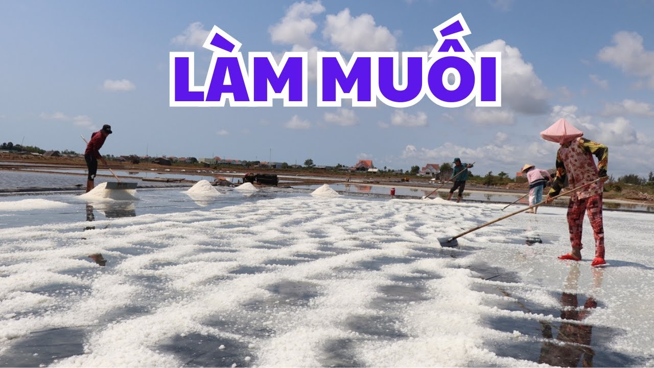 CHI TIẾT QUY TRÌNH LÀM MUỐI TỪ NƯỚC BIỂN. #tranvanchanh #quehuong #mienque #nongthon