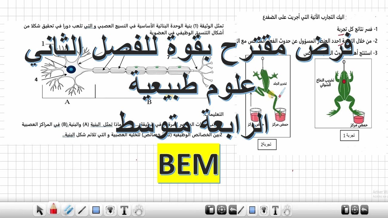 فرض مقترح للفصل الثاني علوم الطبيعية الرابعة متوسط /الاتصال العصبي