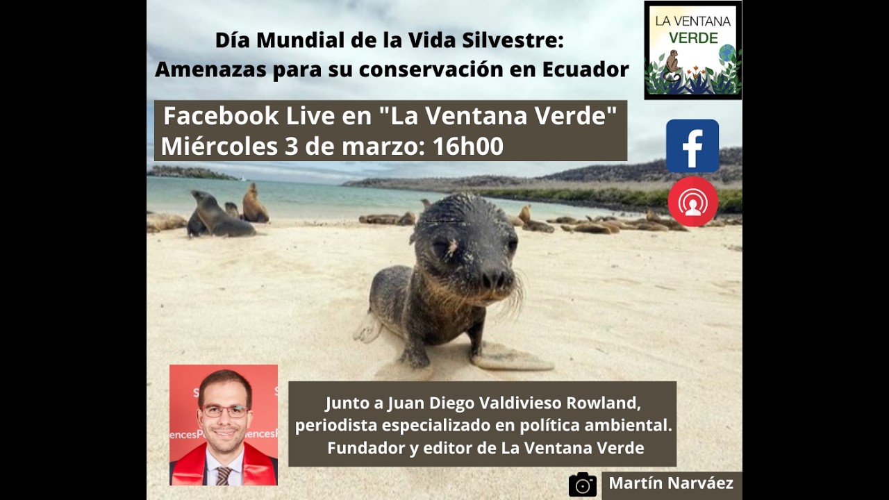 Día Mundial de la Vida Silvestre 2021 - Amenazas para su conservación en Ecuador