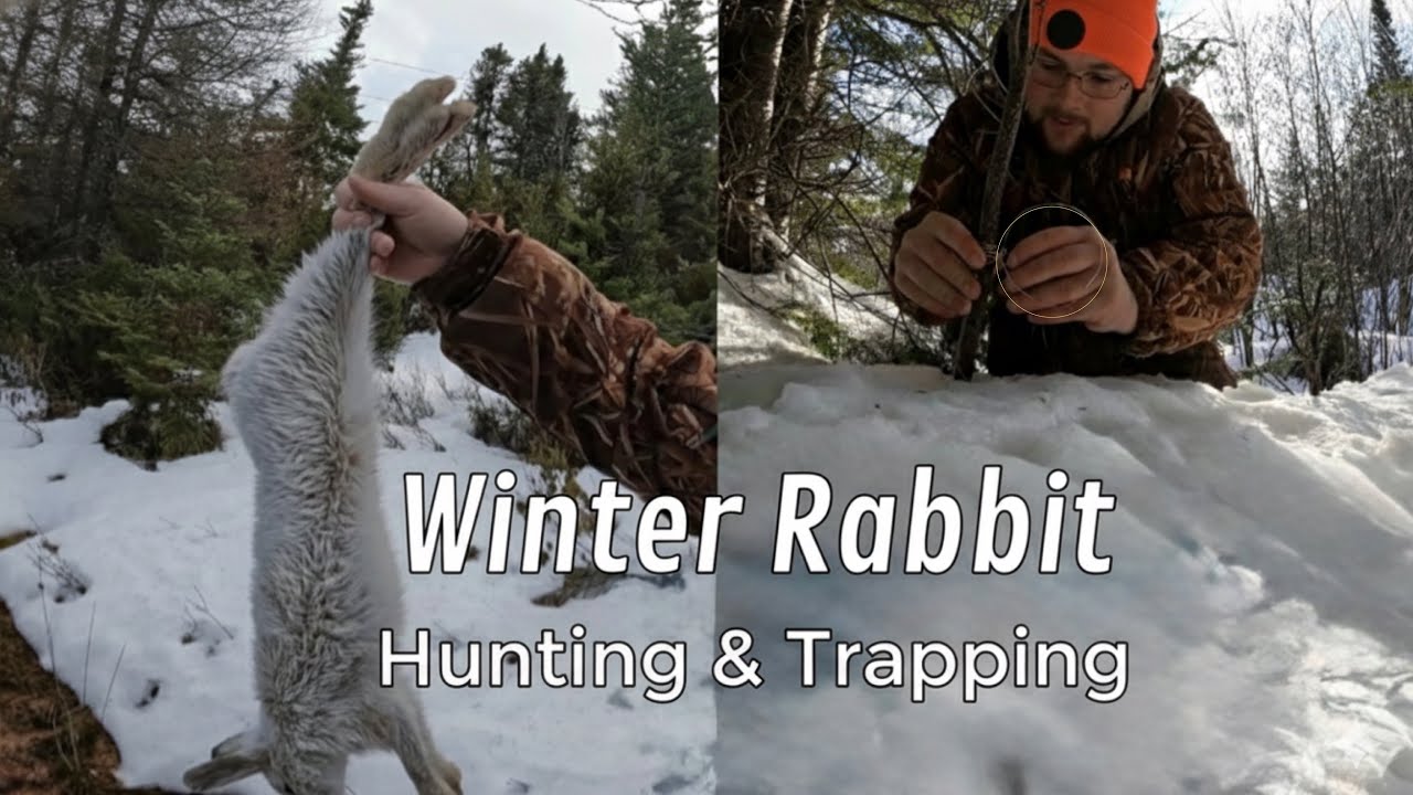 Rabbit Snaring & Hunting Small Game! - ( The Start Of The Winter Trapline )