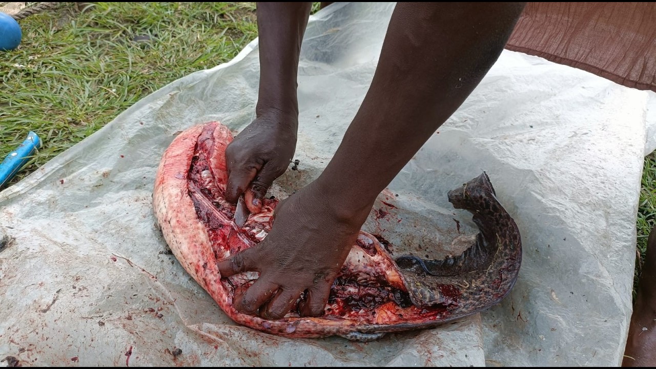 How Kenya’s Kamser women power Lake Victoria’s fishing industry