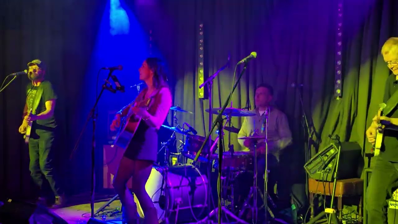Southern Reverie  21. Copperhead Road