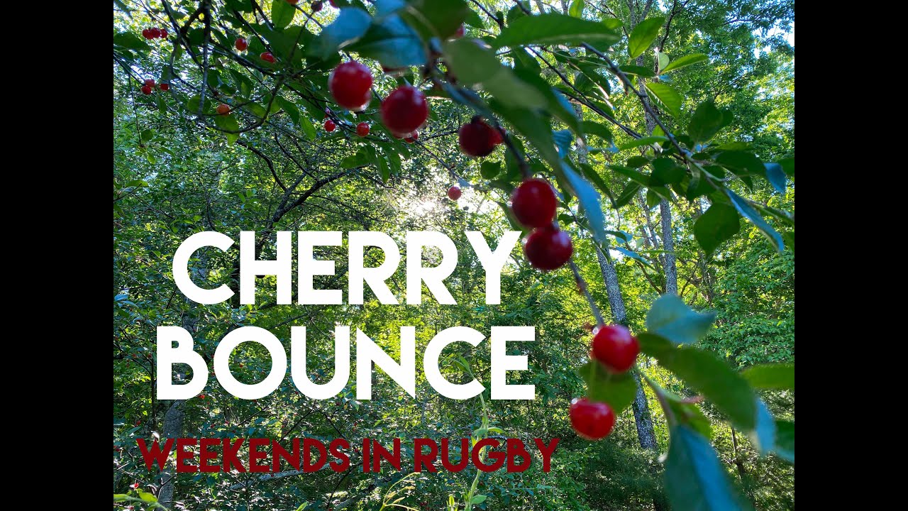 Cherry Bounce