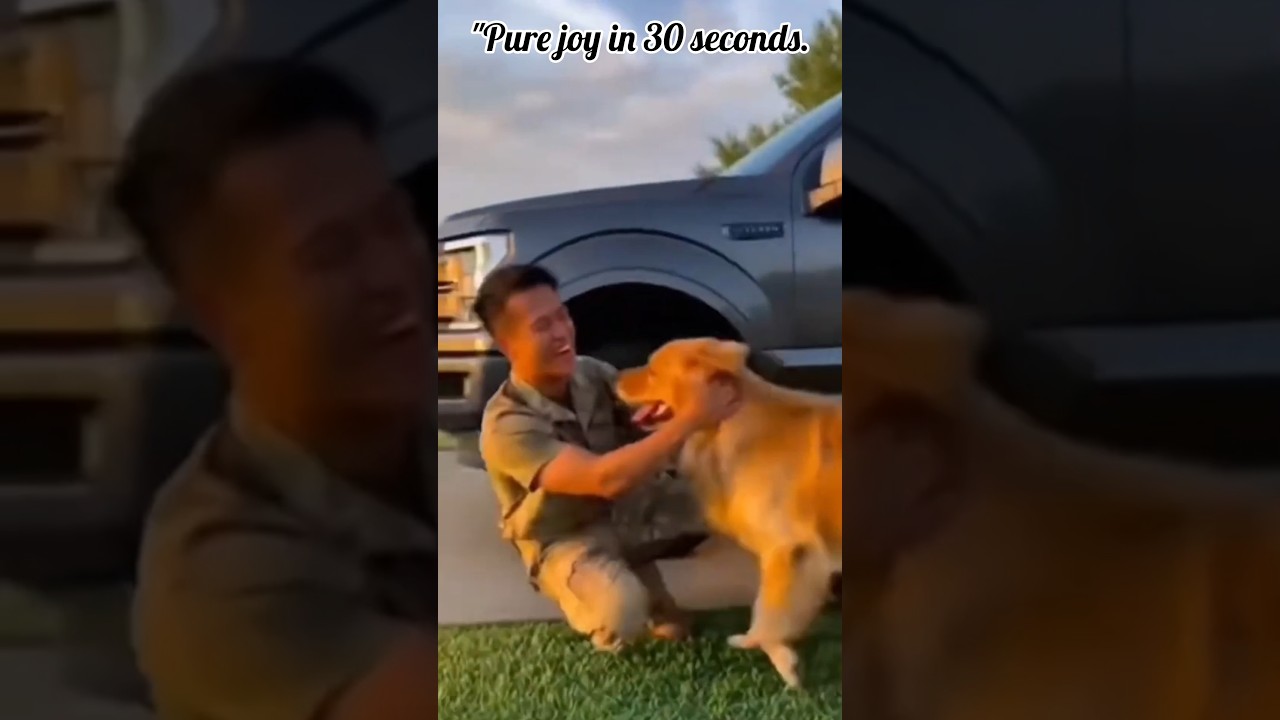 Military Hero Surprises His Dog &mdash; Pure Joy! 💔 #shorts