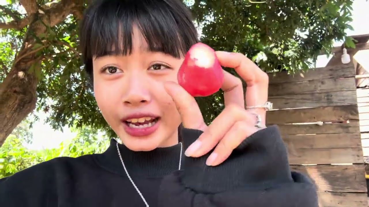 vườn rau nhà h mân lBố H Mân Vlog 