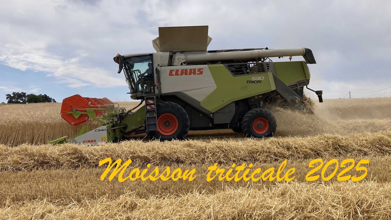 Moisson triticale 2025 | SARL Fayolle |
