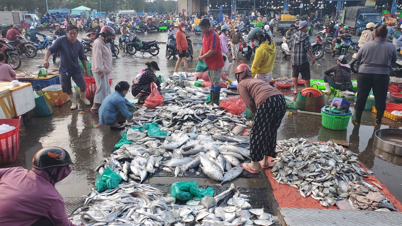 Chợ đầu mối bình điền sáng thứ tư cá chẻm 50k cá biển 30k đầu cá 12k 