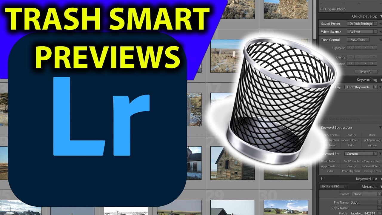 How to SAFELY Delete Smart Preview in Lightroom to Free Space (4K UHD)