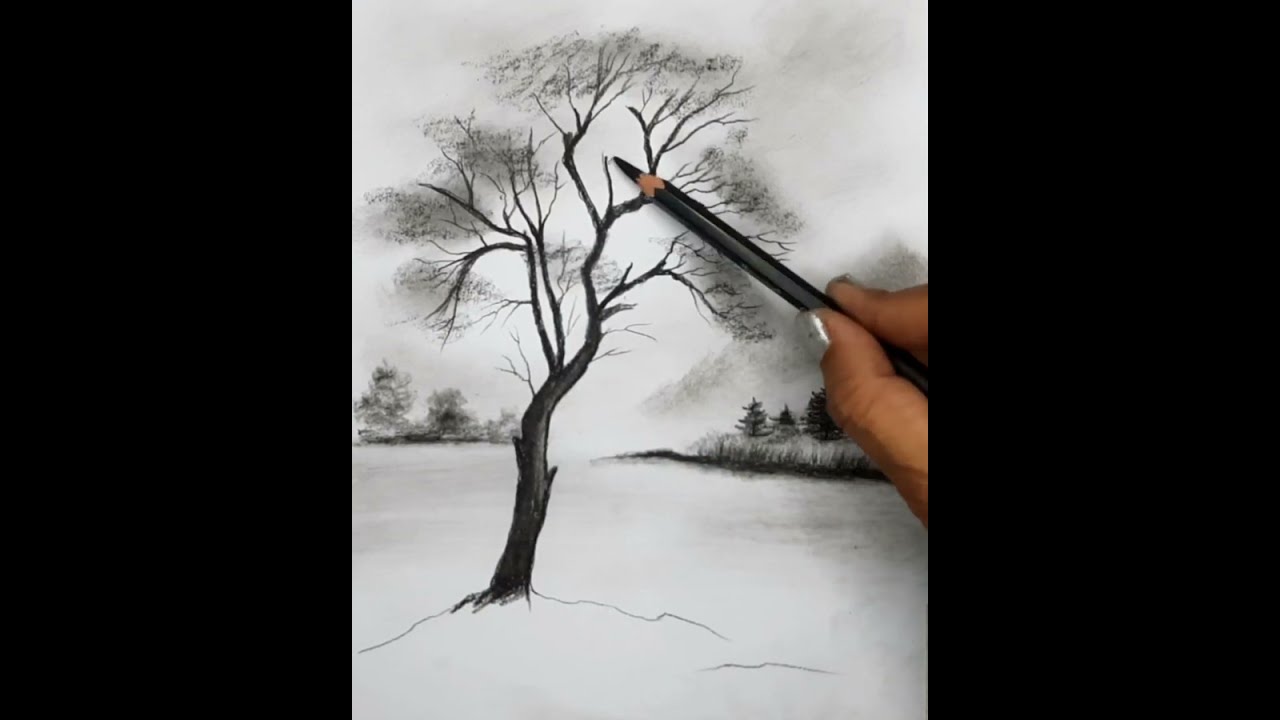 How to Draw Nature Landscape Scenery | Easy Pencil Drawing for Beginners Step by Step