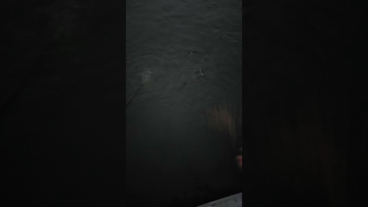 concrete pond catfish farming