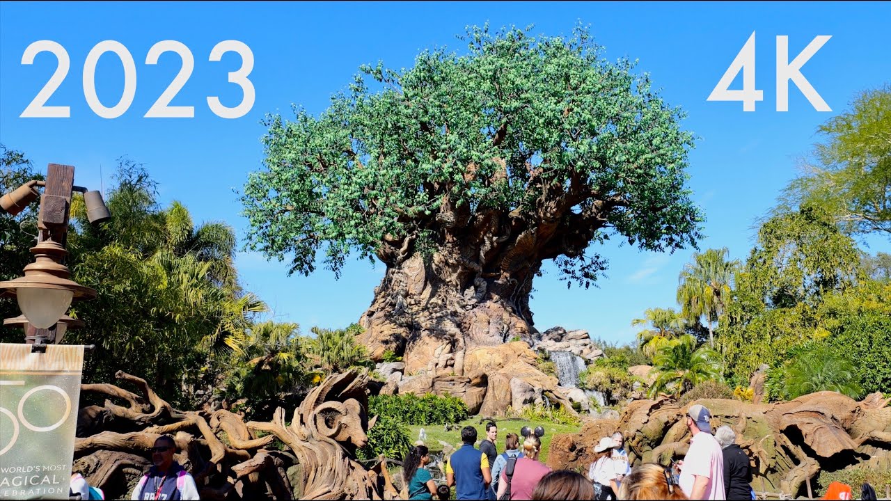 Disney's Animal Kingdom 2023 Complete Walking Tour in 4K | Walt Disney World Florida January 2023