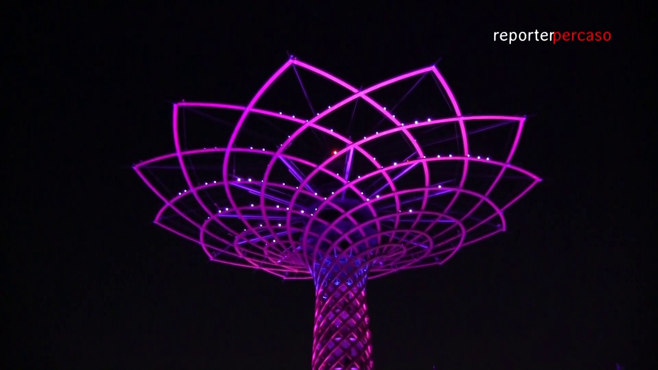 ALBERO DELLA VITA 2018