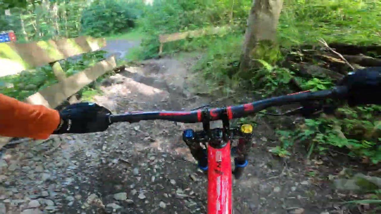 Thale 2024 - Rosstrappen Downhill