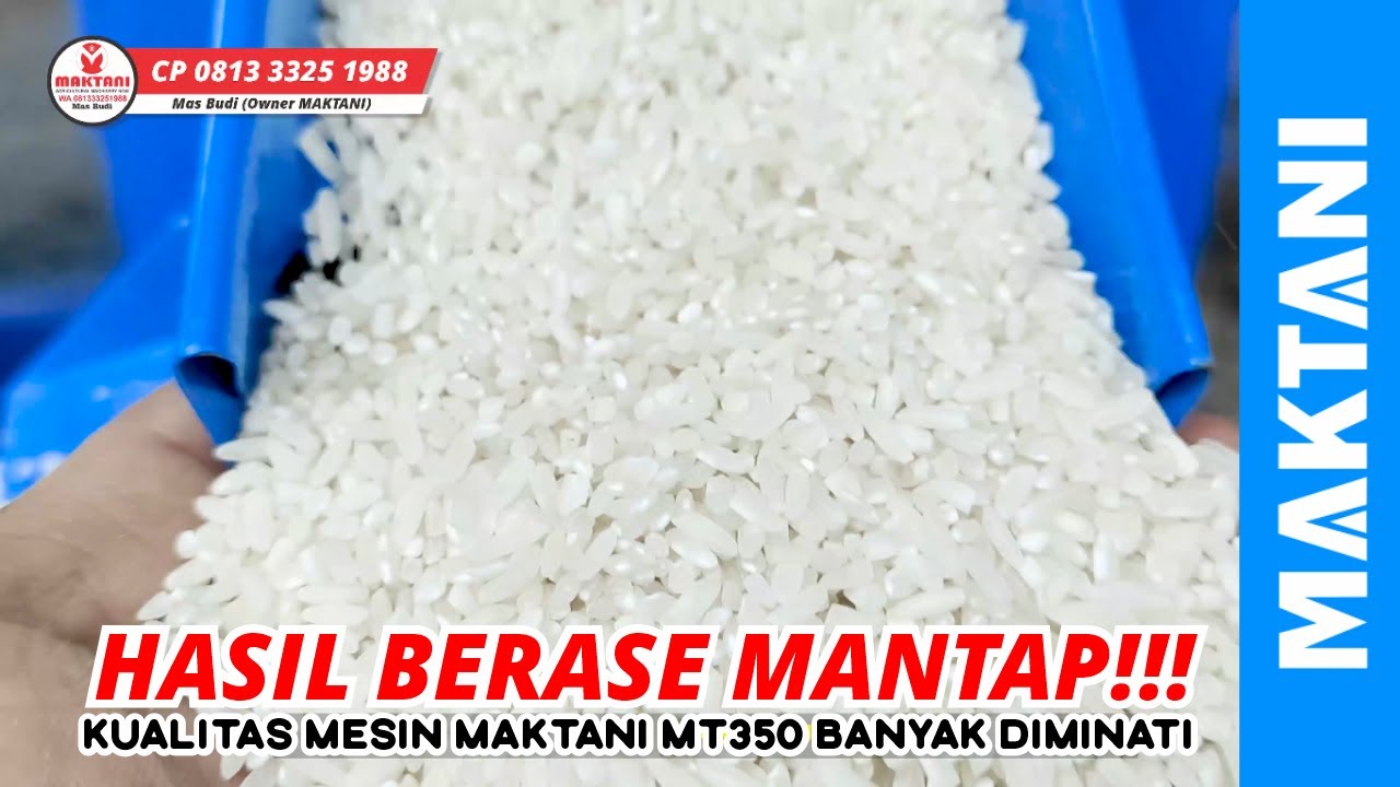 Kirim Ke Karawang Gilingan Padi tanpa sekam MT350solar Hasil Berasnya Mantap!!!