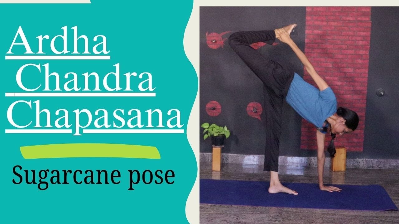 Ardha Chandra Chapasana (Sugar Cane pose) | Half Moon Bow Pose | Gayana | hamsa yoga Foundation