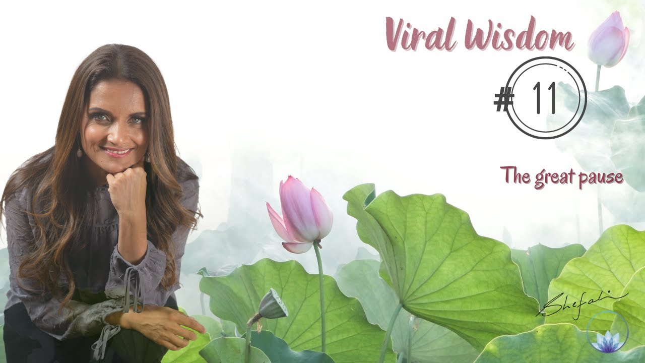 DAY 11 Viral Wisdom Course 04-20-2020: THE GREAT PAUSE