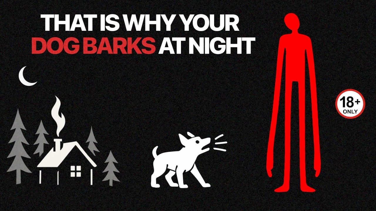 If Your Dog Starts Barking at Night… LOCK The Door - Analog Horror
