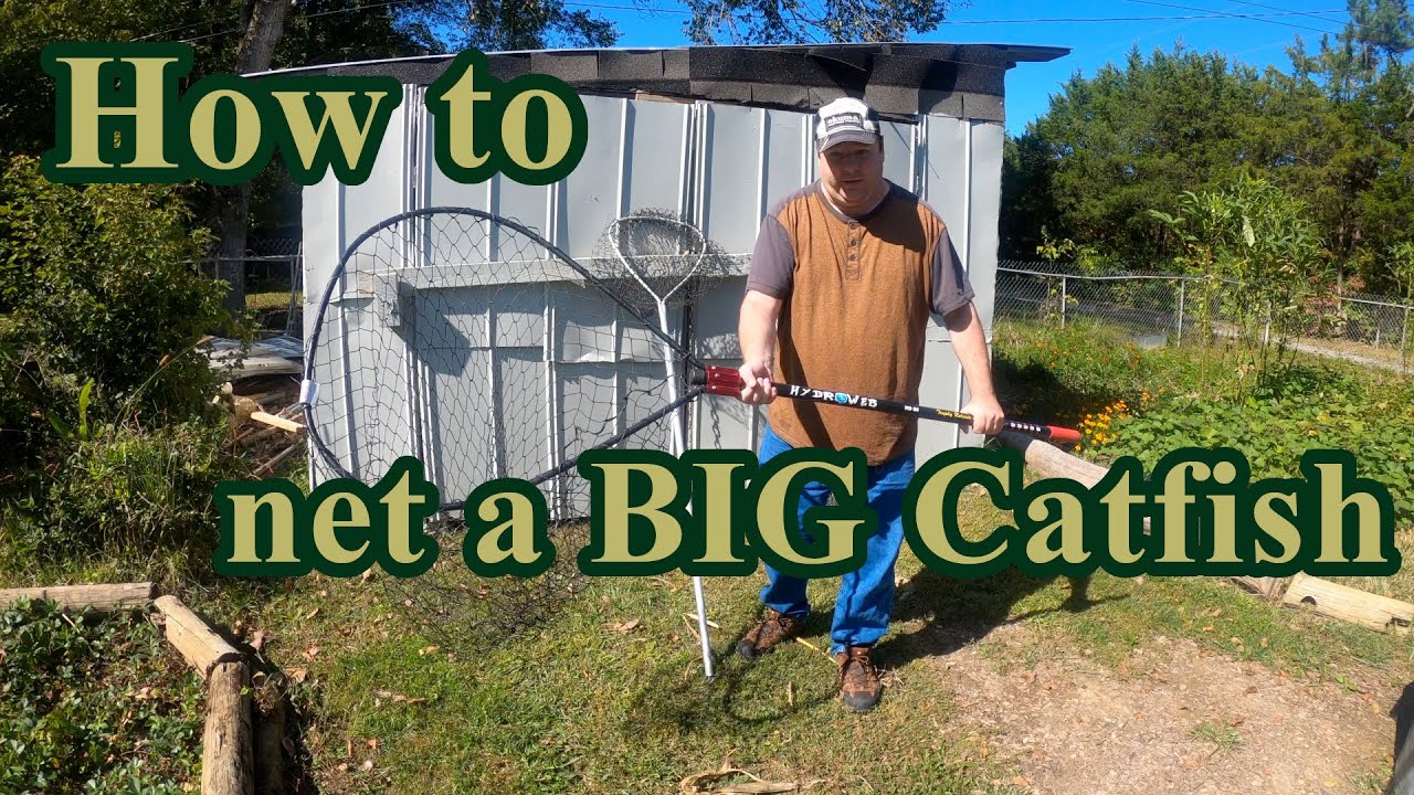 How to net a BIG Catfish!!!