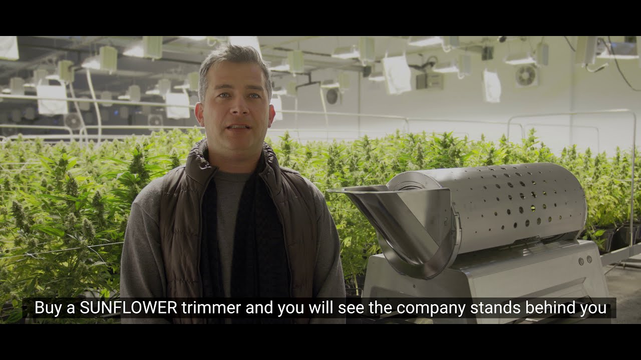 AUSTRIAN HEMP and SUNFLOWER TRIMMER