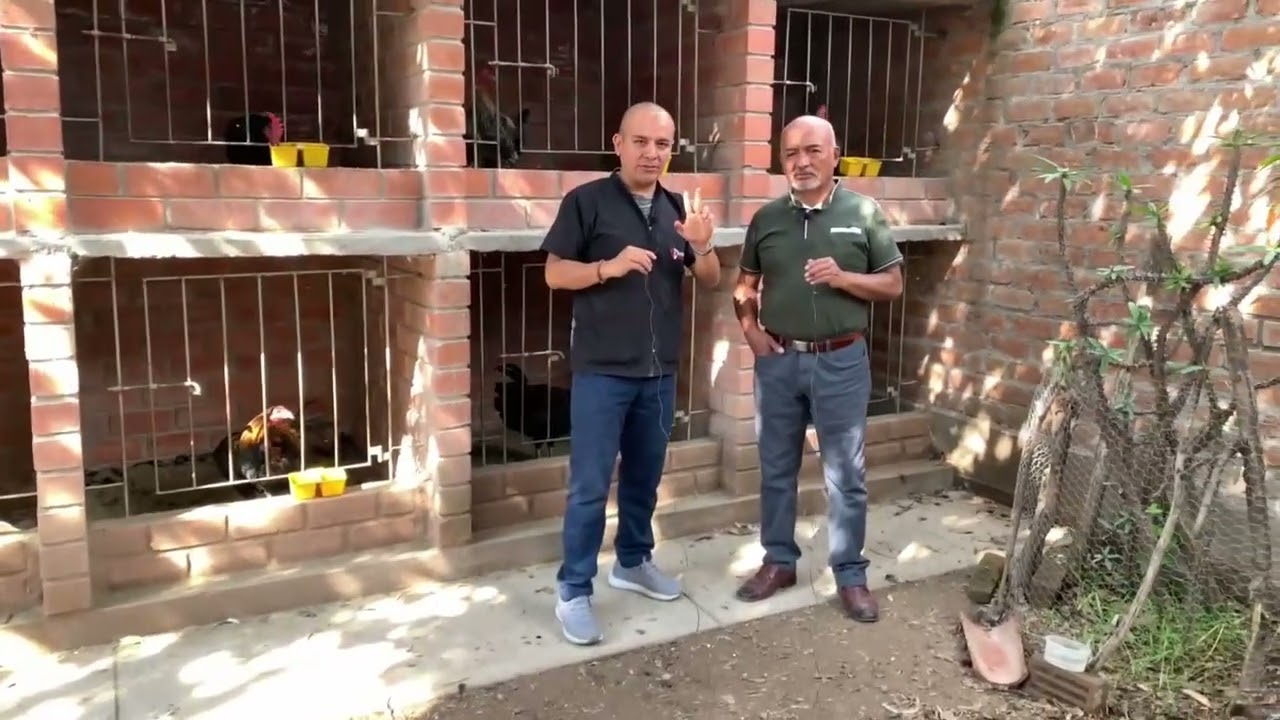 DOSIFICACION EN NUESTRO GALPON | PROCESO DE MUDA 2022