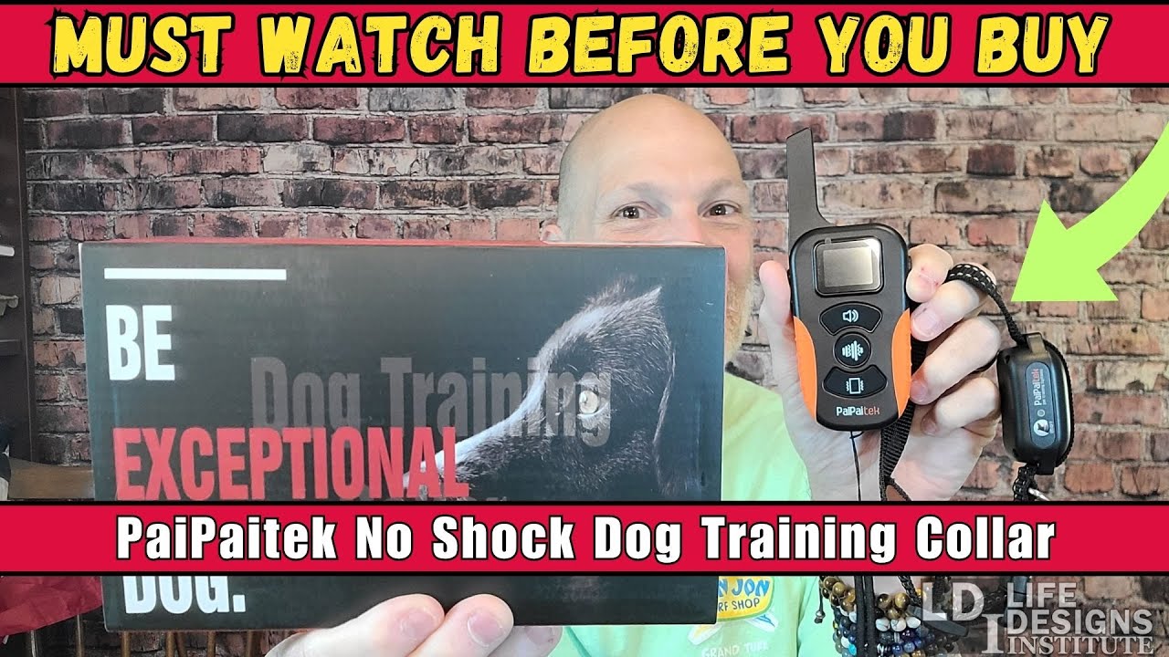 Paul's Picks: Can You Train Your Dog Without Shocking Them? Meet the PaiPaitek No Shock Collar!