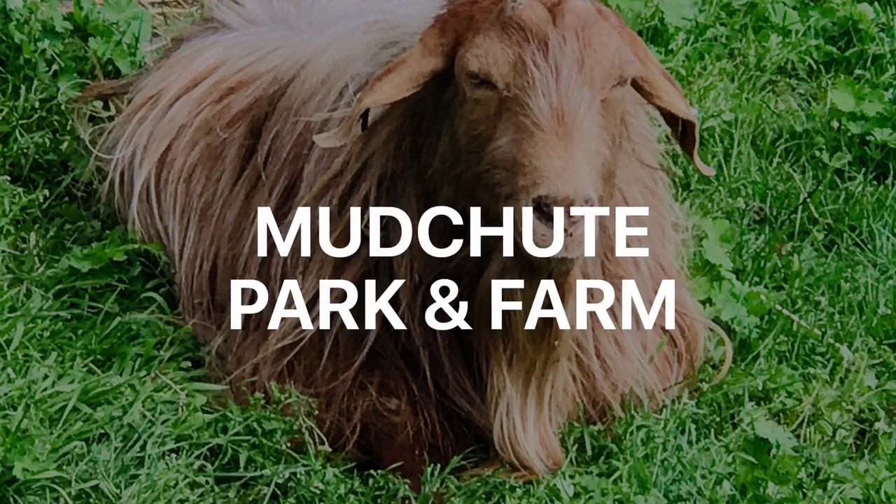 Mudchute Park & Farm - Amazing East London Countryside