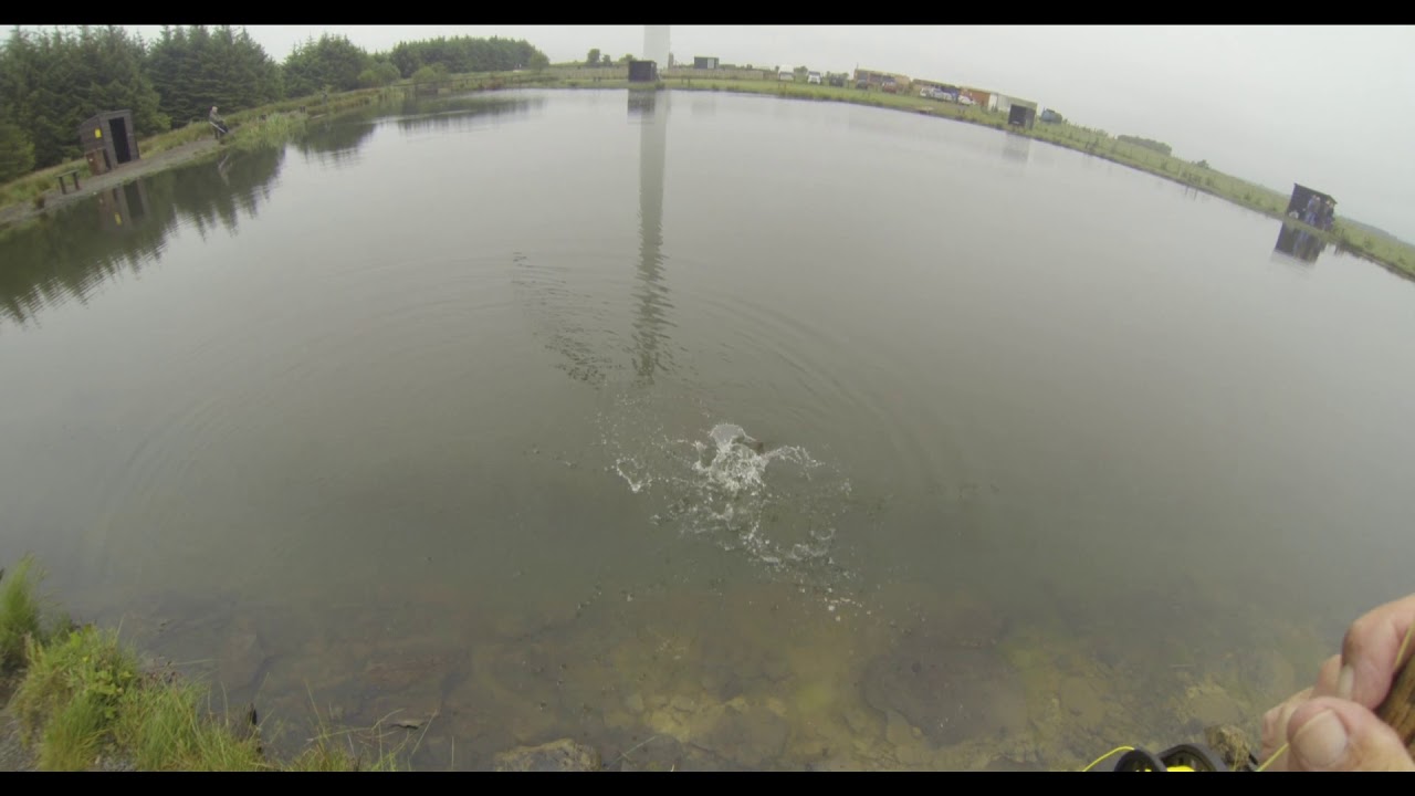 AVON FISHERY, even more fishing