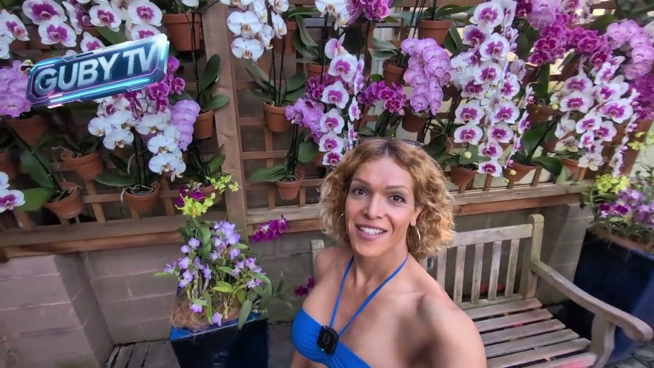 Explorando el Jardín Botánico de Atlanta: Naturaleza, Paz y Belleza🌸🪷🌺🌹