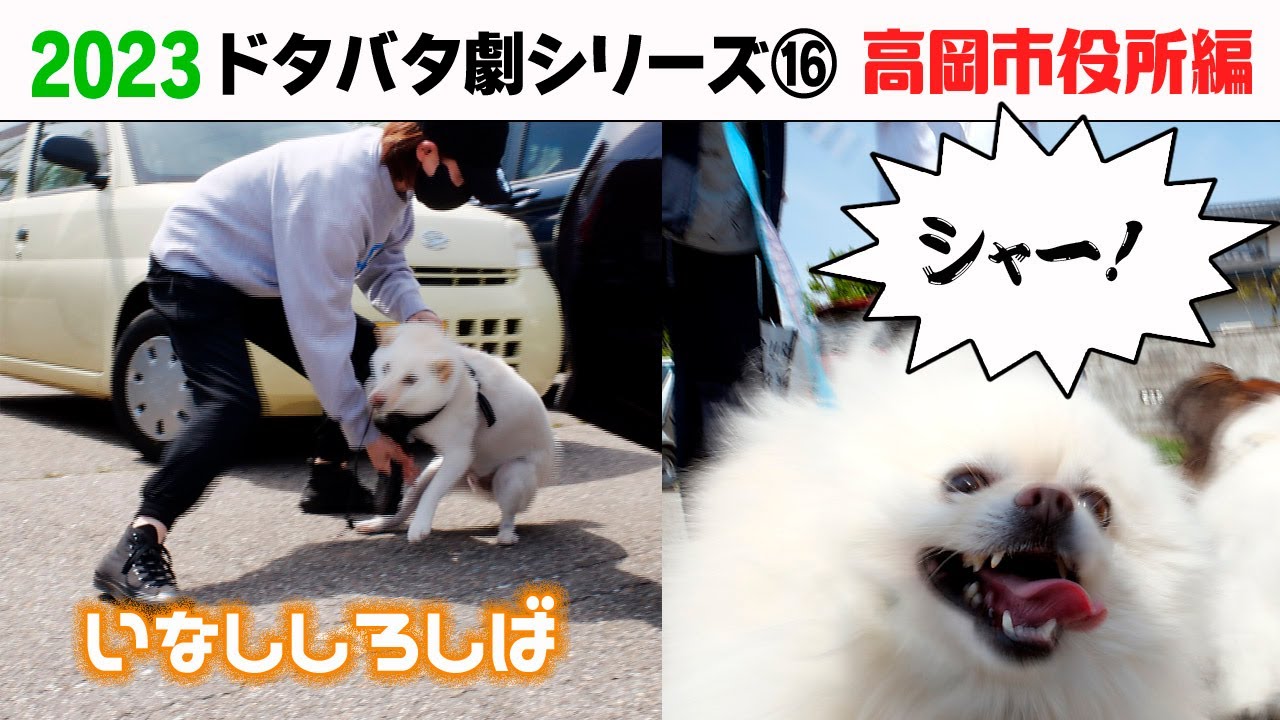 2023狂犬病予防注射会場のドタバタ劇⑯ 高岡市役所編