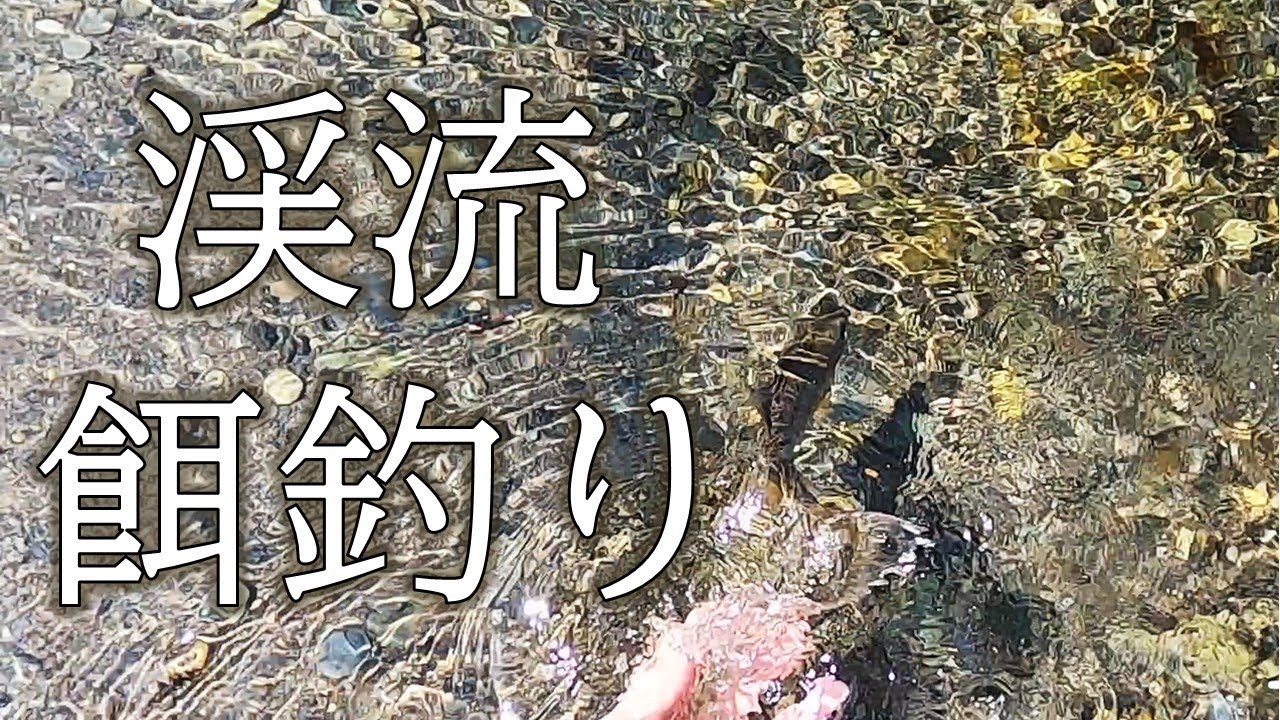 渓流餌釣り　川虫で釣る