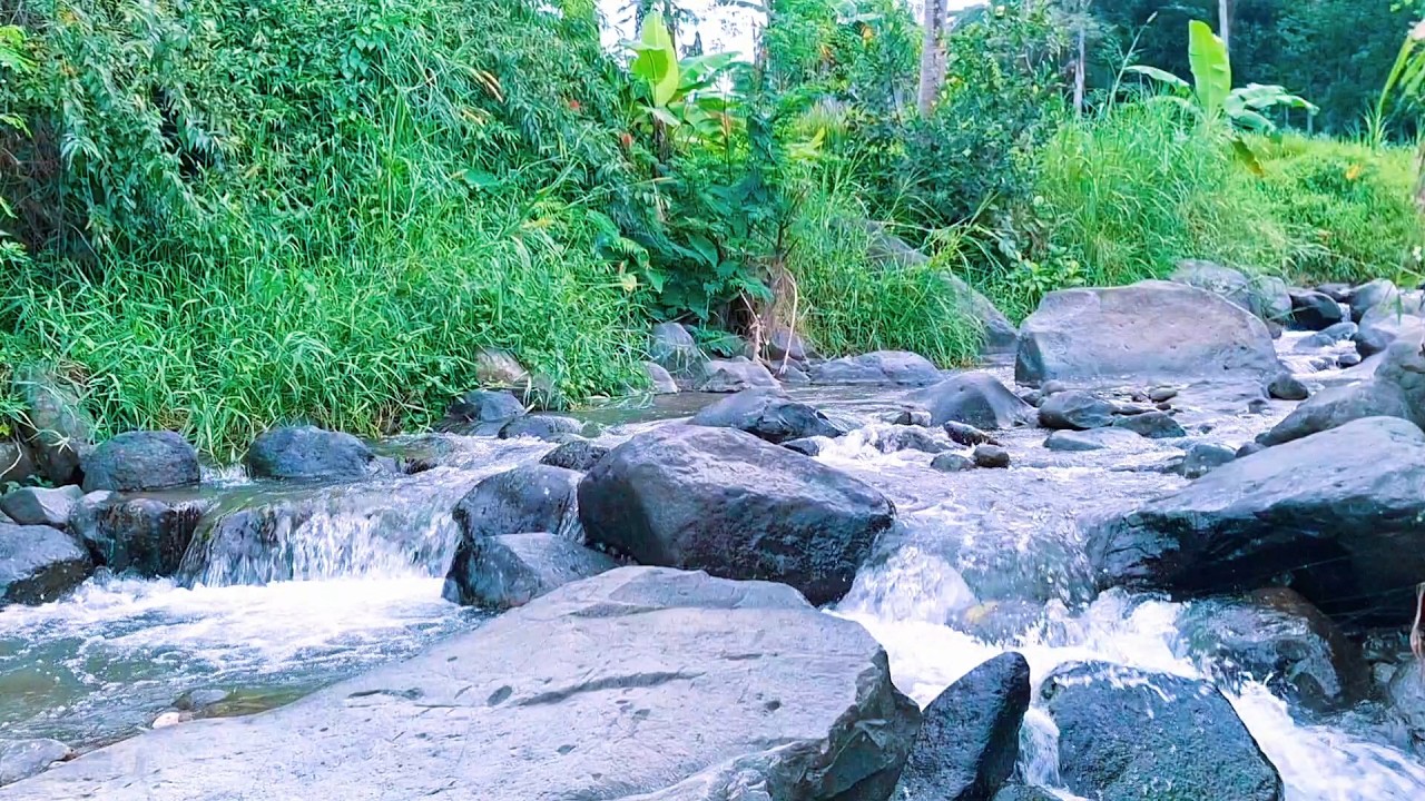 Natural River Sounds to Sleep Better Tonight
