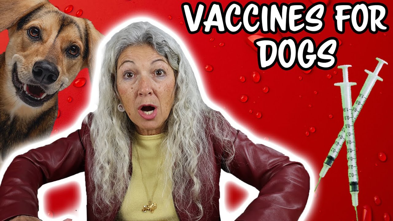 Dr Judy Discusses Vaccines