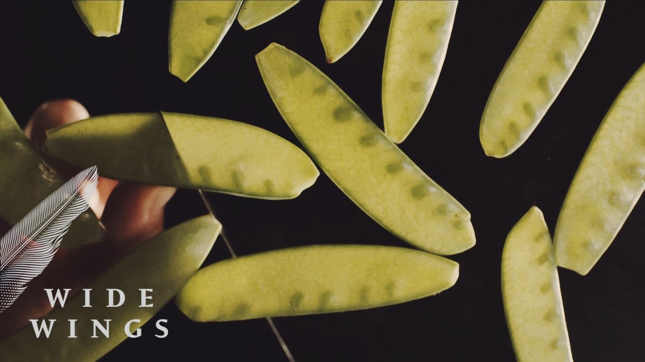 Meat dishes with VMG | Wide Wings Studio