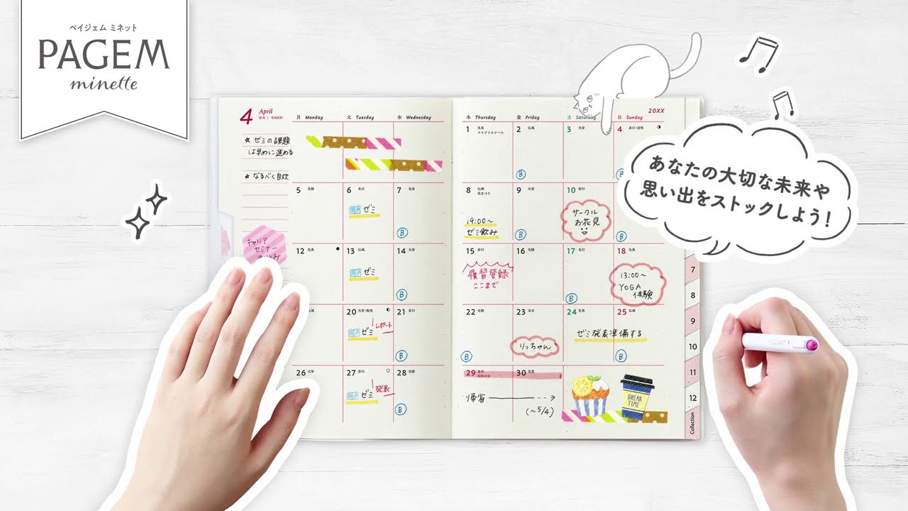 【新商品】ペイジェム ミネットのご紹介