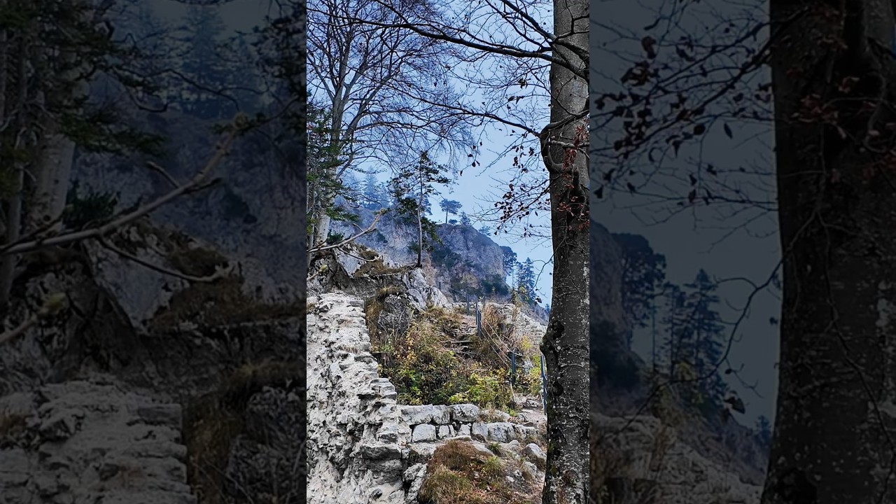 Hohenwaldeck-Runde: Herbstlicht und Nebelzauber