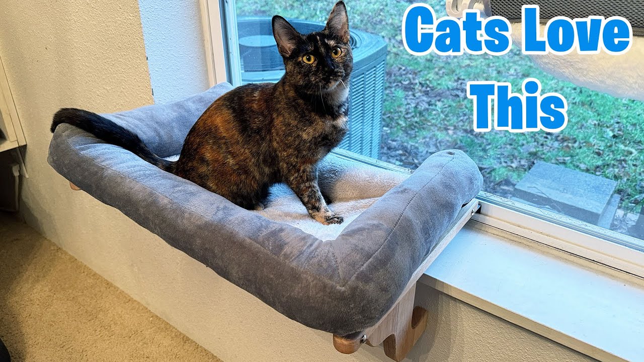 Our Cats Love This Window Cat Perch
