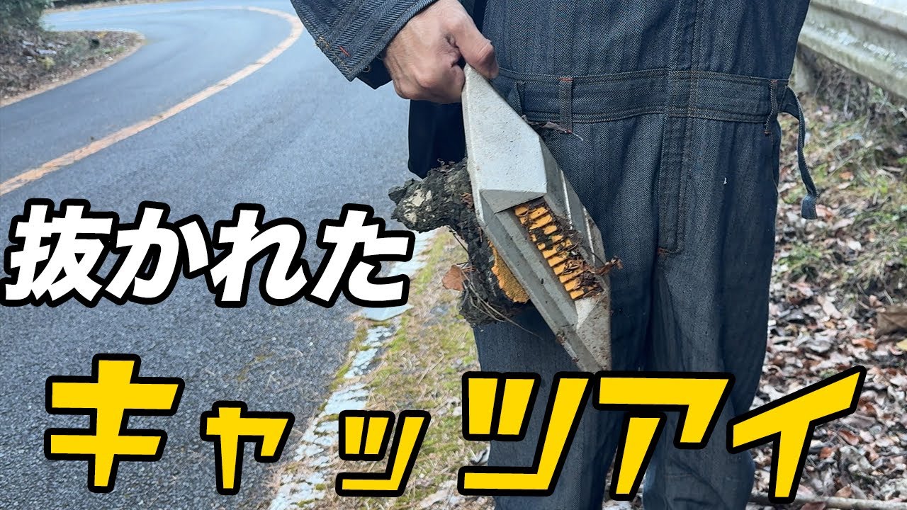 もはやゴミ山、昔走り屋が賑わった筑波山の現在