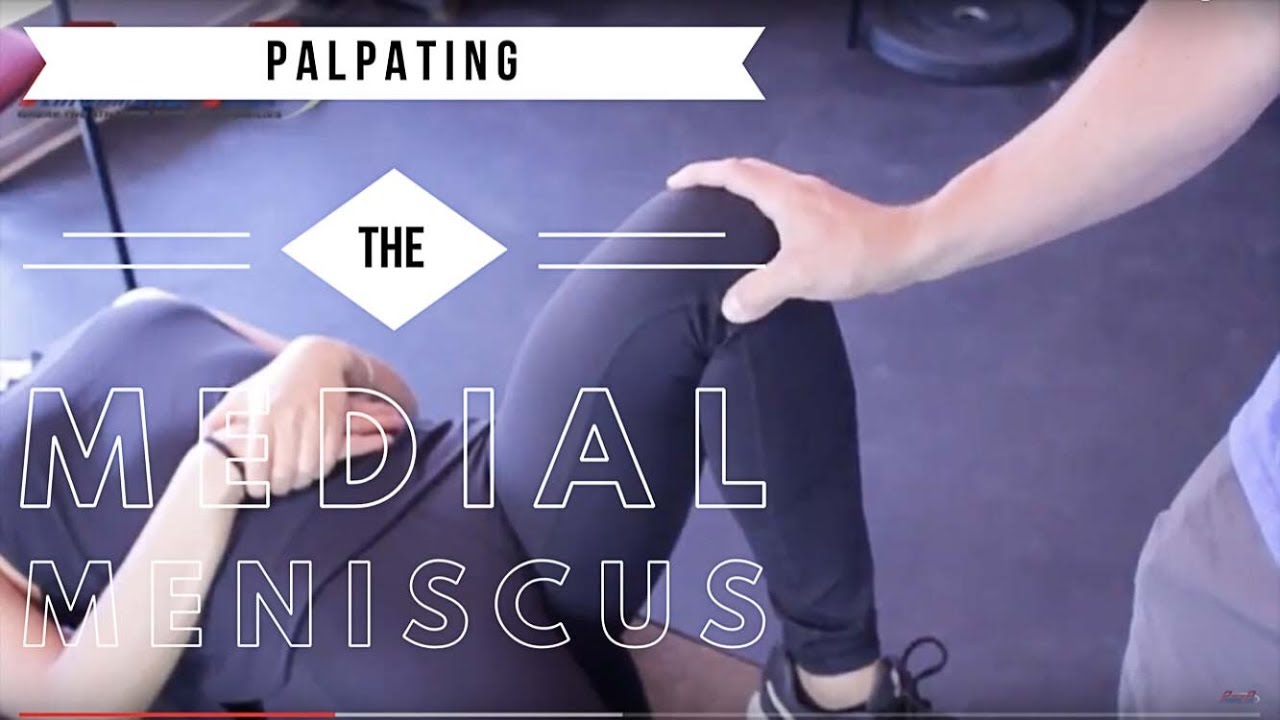 E39: Medial Meniscus Knee Palpation