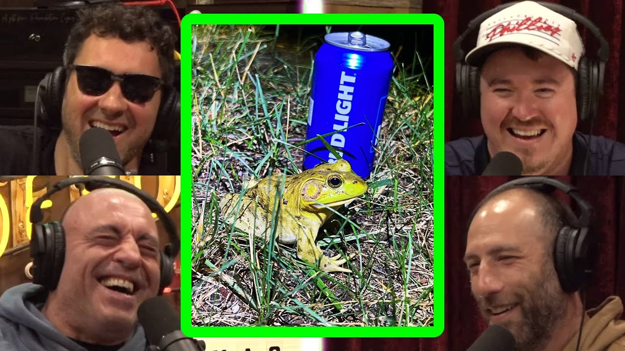 Shane Gillis Can Save Bud Light with Joe Rogan!