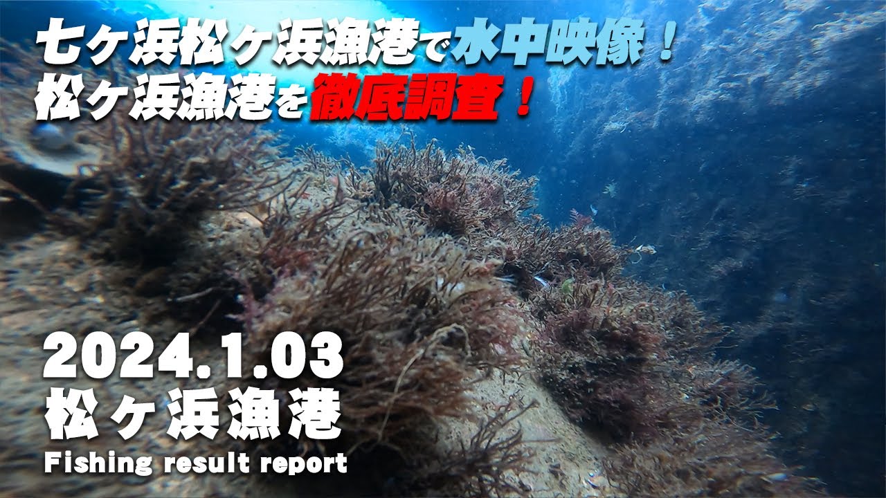 【水中映像】 七ヶ浜松ヶ浜漁港の海を徹底調査！これが松ヶ浜漁港の海の実態だ！