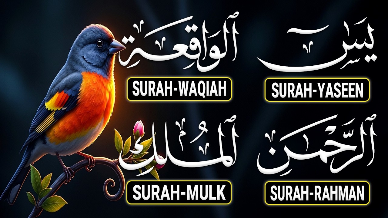 The Best Recitation Surah Yaseen (Yasin) | Surah Rahman | Surah Waqiah | Surah Mulk Ep52