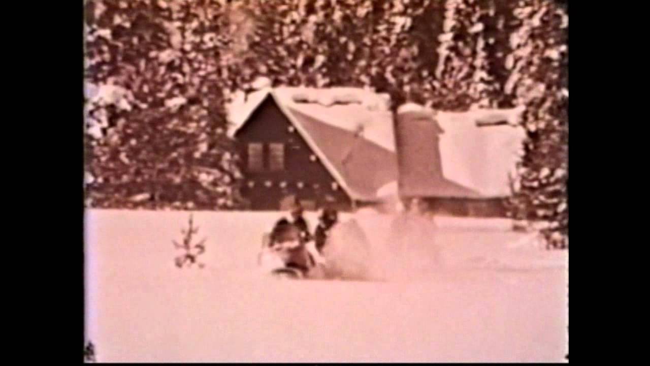Vintage 1969 AMF Ski Daddler Snowmobiles