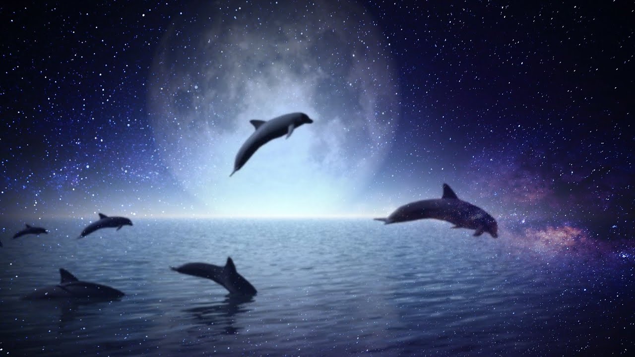 Look at the aesthetic of the deep sea 🌊 /// WhatsApp status...