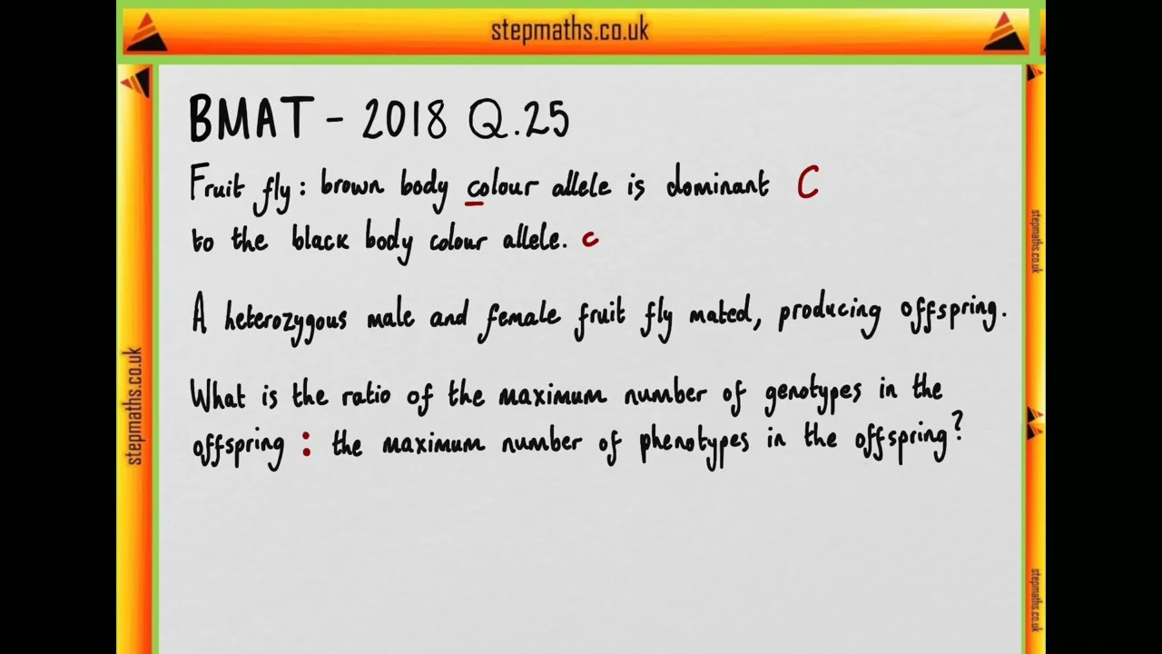 BMAT 2018 Section 2 - Q25 Bio - Fruit fly colour inheritance - Worked Solution