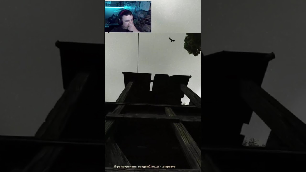 Химеры на Радаре 